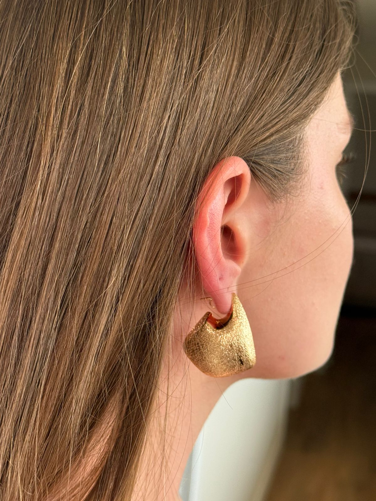 BRINCO DE ARGOLA ESCOVADO